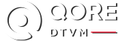 Qore Investidor